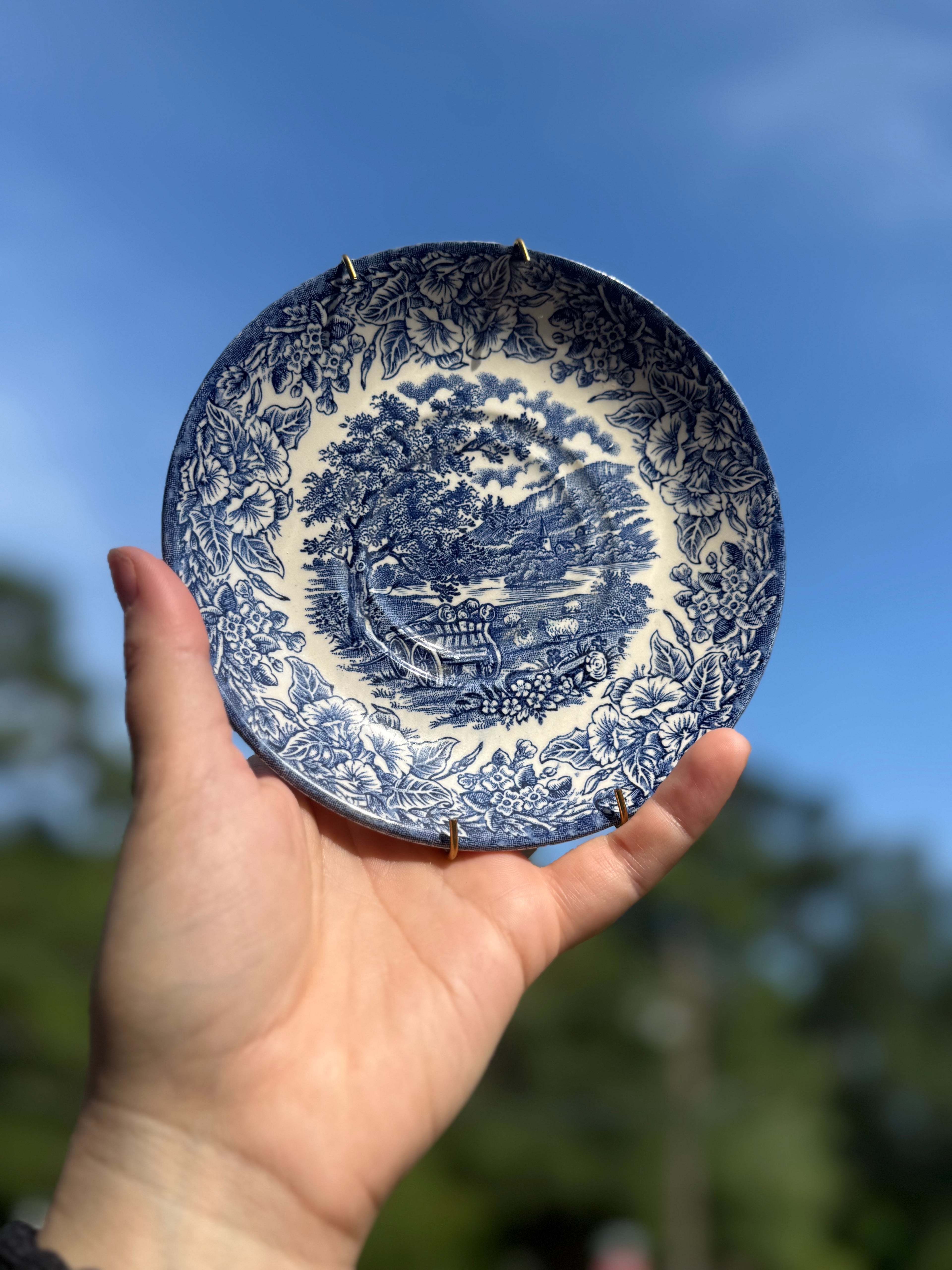 Blue Plate (small)