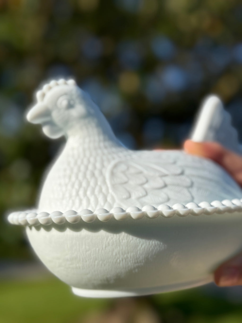 Milk Glass Hen on Nest