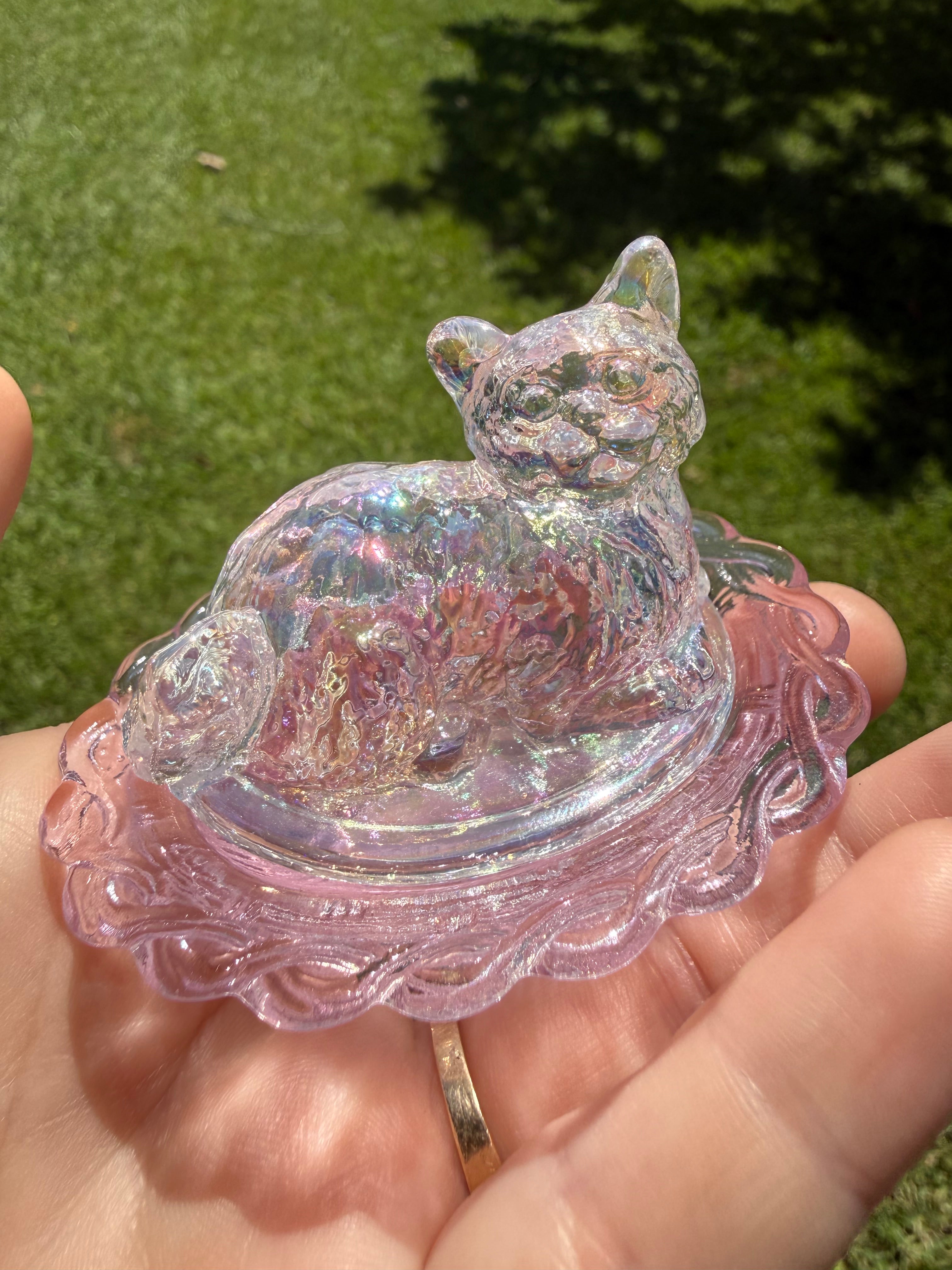 Opalescent and pink Mosser Cat on Nest