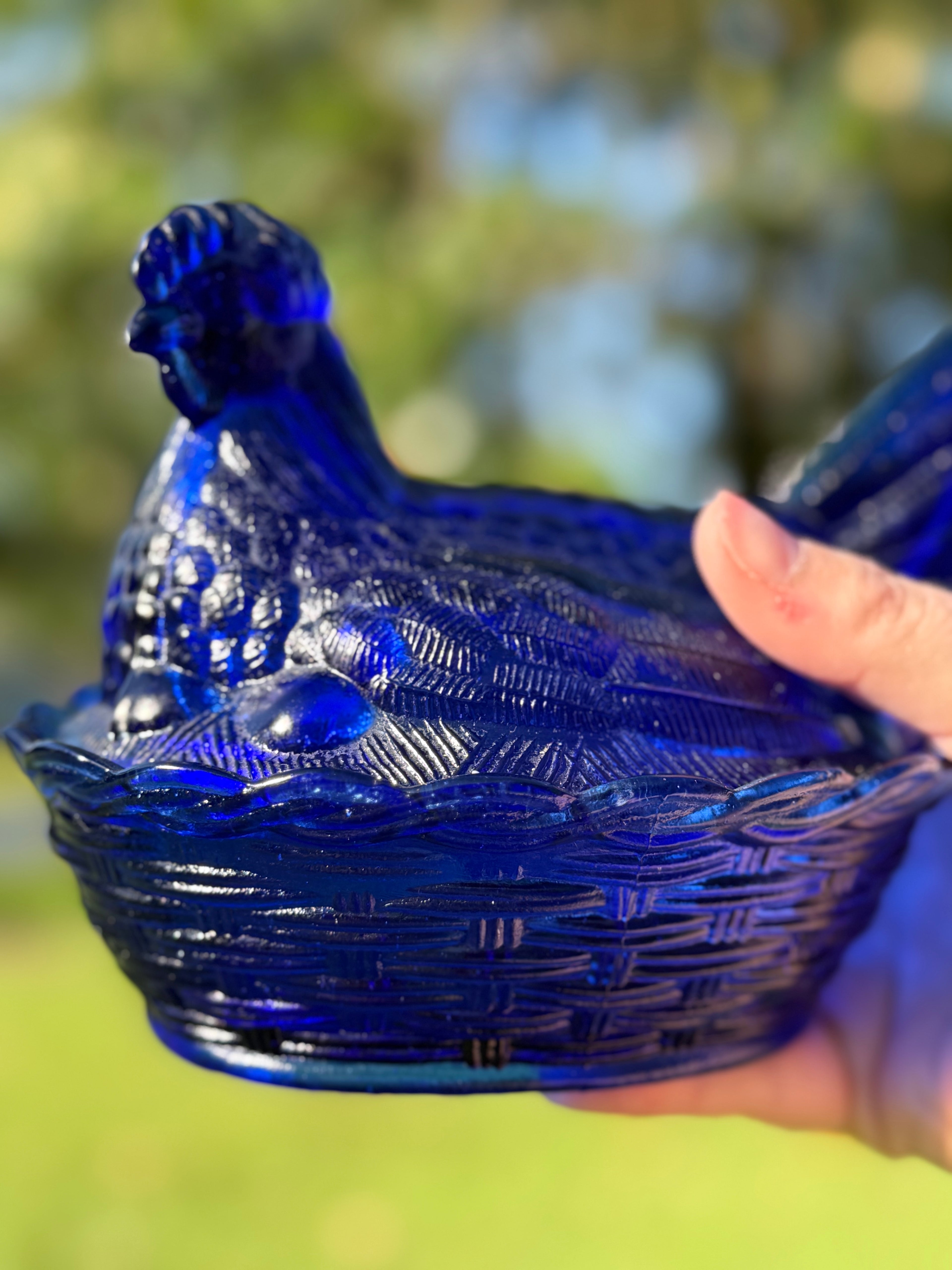 Westmoreland Cobalt Hen on Nest
